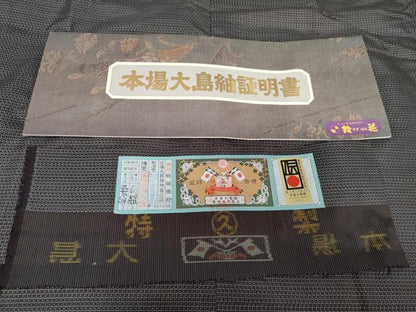 平和屋着物●男性 本場大島紬 アンサンブル 長襦袢(袷)セット 亀甲絣 久野織物特製 キングサイズ 羽裏：虎 証紙付き 正絹 逸品 AABE8585cs