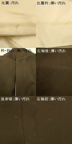 平和屋着物■豪華黒留袖　作家物　手描き　風景文　金彩　正絹　逸品　AABE8803fw