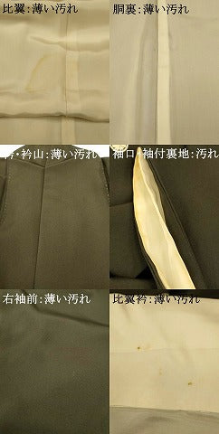 平和屋着物■豪華黒留袖　作家物　寿光織　人物風景文　暈し染め　金彩　正絹　逸品　AABE8835fw