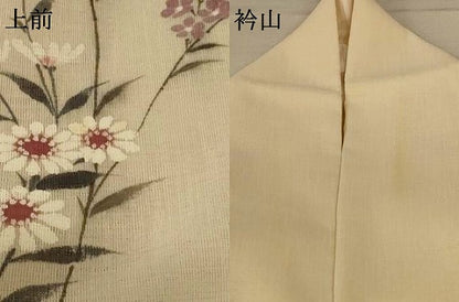 平和屋着物＊夏物 訪問着 紗 草花文 洗える着物 AABE8976jd