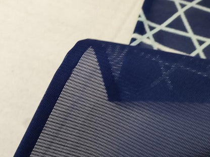 平和屋着物＊夏物　訪問着　絽　鴛鴦文　正絹　逸品　未使用　AABE8979jd