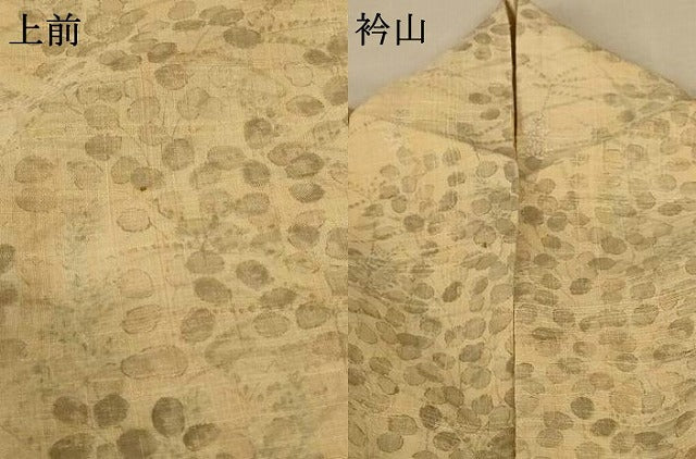 平和屋着物＊夏物 生紬 草花文 正絹 逸品 AABE8998jd
