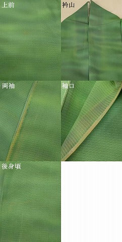 平和屋着物＊夏物 小紋 絽 霞文 暈し染め 正絹 逸品 AABE9002jd