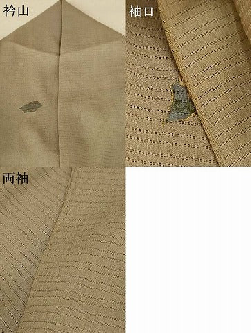 平和屋着物＊夏物 小紋 絽縮緬 草花文 金彩 正絹 逸品 AABE9024jd