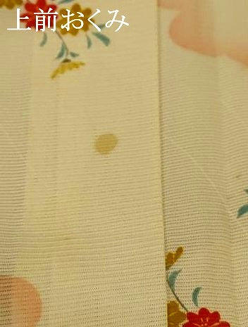 平和屋着物＊夏物 小紋 絽 風景草花文 正絹 逸品 AABE9026jd