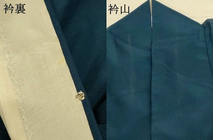 平和屋着物＊夏物 訪問着 絽 笹文 洗える着物 AABE9033jd