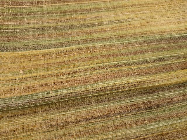 平和屋着物●郡上紬　草木染　横段文　正絹　逸品　AABE9216ck