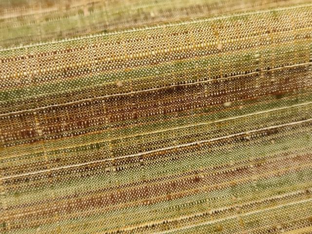 平和屋着物●郡上紬　草木染　横段文　正絹　逸品　AABE9216ck