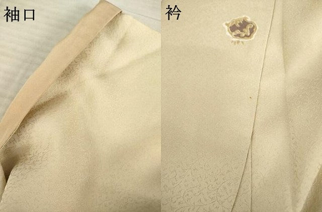 平和屋着物○訪問着 鳳凰花丸文 金彩 正絹 逸品 AABE9220ck