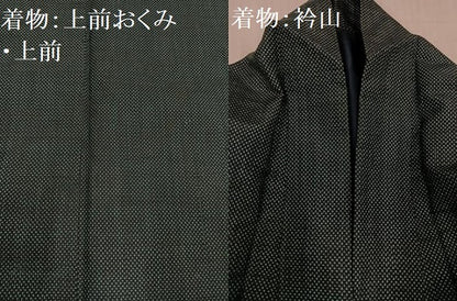 平和屋着物●男性　本場大島紬　アンサンブル　一元絣　正絹　逸品　AABF0005ph