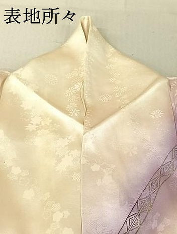 平和屋着物▽豪華振袖　単衣　花鳥文　暈し染め　金銀彩　正絹　逸品　AABF0115jh