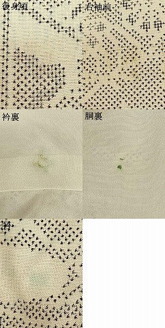 平和屋着物●本場大島紬　白大島　一元絣　風景花文　正絹　逸品　AABF0204fy