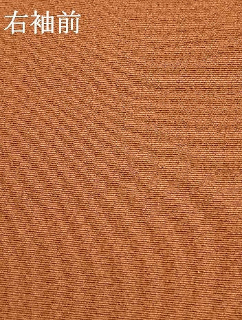 平和屋着物●二代目清次郎　手描き　色無地　赤茶色　正絹　逸品　AABF0205fy