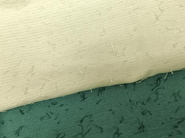 平和屋着物●訪問着　髭紬　霞文　暈し染め　正絹　逸品　AABF0283fy