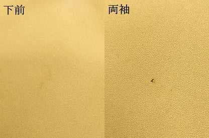 平和屋着物●豪華振袖　小槌　舞花文　暈し染め　金彩　正絹　逸品　AABF0371fy
