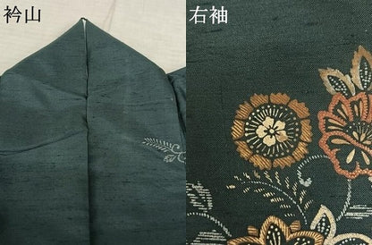 平和屋着物●訪問着　紬地　刺繍　花唐草文　金糸　金彩　正絹　逸品　AABF0406fy