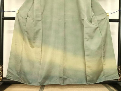 平和屋着物●本場染大島紬　訪問着　霞文　正絹　逸品　未使用　AABF0410fy