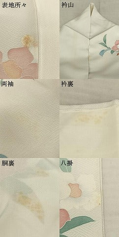 平和屋着物●訪問着　友禅　刺繍　枝花文　金糸　正絹　逸品　AABF0420fy