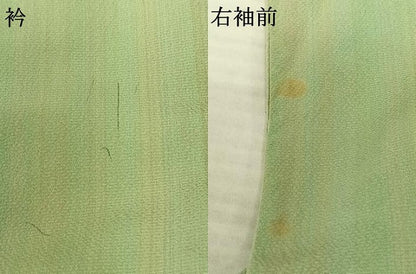 平和屋着物●上質な小紋　間道　正絹　逸品　AABF0451fy