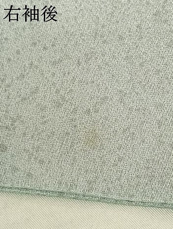 平和屋着物●訪問着 友禅 枝花文 暈し染め 正絹 逸品 AABF0530fy