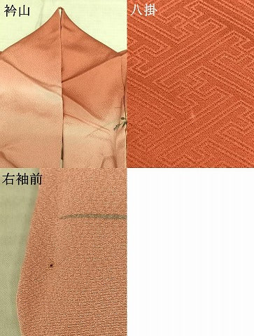 平和屋着物●訪問着 風景花文 暈し染め ロング丈 正絹 逸品 AABF0570fy