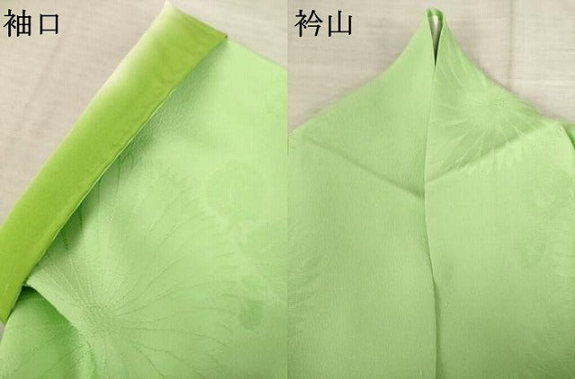 平和屋着物●上質な色無地　菊地紋　若葉色　正絹　逸品　AABF0883ck 平和屋着物○上質な色無地 菊地紋 若葉色 正絹 逸品 AABF0883ck
