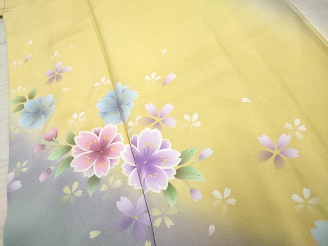 平和屋着物●豪華振袖　舞花文　暈し染め　ロング丈　正絹　逸品　AABF1040cs
