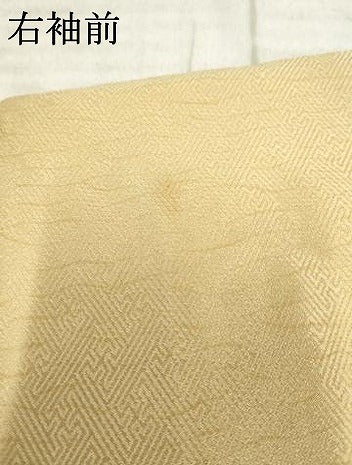 平和屋着物●訪問着　駒刺繍　地紙枝花文　金銀彩　正絹　逸品　AABF1052cs
