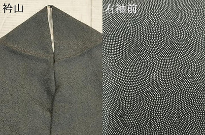 平和屋着物●江戸小紋　草木染　鮫小紋柄　黒地　さが美扱い　正絹　逸品　AABF1054cs