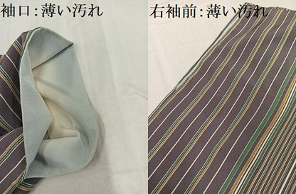 平和屋着物■上質な小紋　間道　正絹　逸品　AABF1274ph