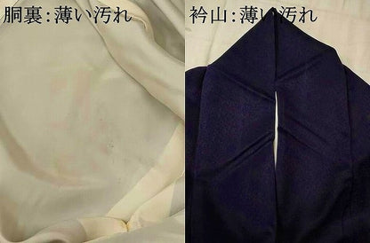 平和屋着物■訪問着 刺繍 舞花文 正絹 逸品 AABF1516st