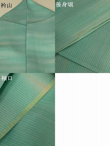 平和屋着物＊夏物 小紋 絽 霞文 正絹 逸品 AABF1563jd