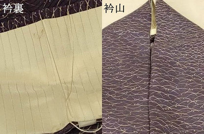 平和屋着物＊夏物 小紋 絽 露芝文 洗える着物 AABF1565jd