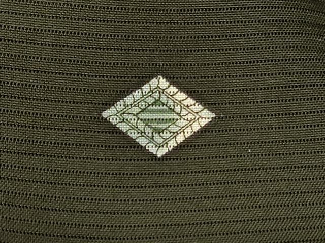 平和屋着物＊夏物 訪問着 絽 枝葉文 金彩 正絹 逸品 AABF1575jd