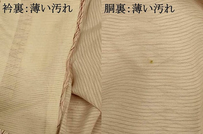 平和屋着物＊夏物 訪問着 絽 芝文 正絹 逸品 AABF1578jd