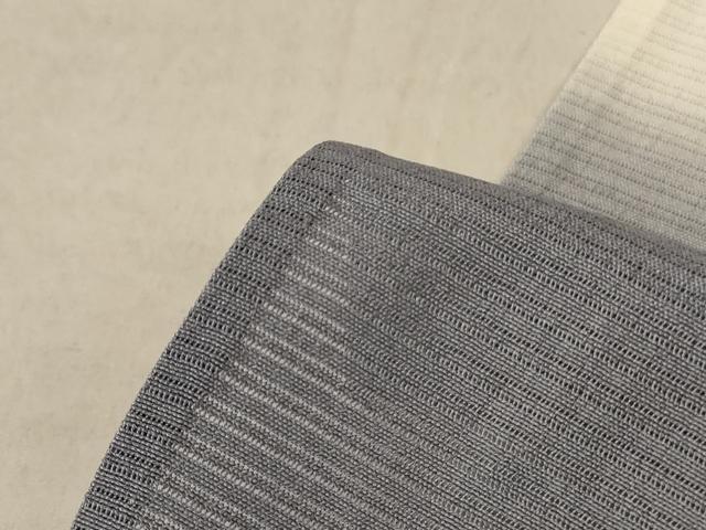 平和屋着物＊夏物 訪問着 絽縮緬 成り物 暈し染め 正絹 逸品 未使用 AABF1598jd