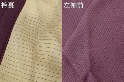 平和屋着物＊夏物 色無地 絽 葡萄鼠色 正絹 逸品 AABF1599jd