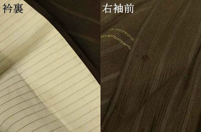 平和屋着物＊夏物 小紋 紗 花鼓文 金銀彩 正絹 逸品 AABF1653jd