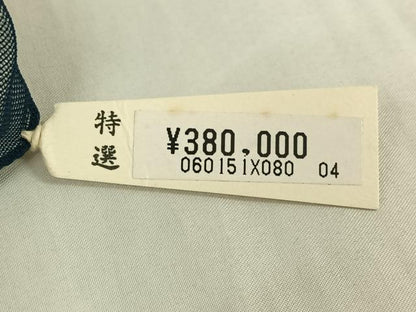 平和屋着物▽訪問着 無双 紗袷 紗×紗 立波文 金彩 上代38万 仮絵羽 正絹 逸品 未使用 AABF1851jh