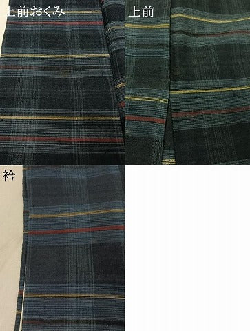 平和屋着物▽郡上紬 草木染 単衣 横段文 正絹 逸品 AABF1874jh