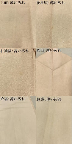 平和屋着物■訪問着 総刺繍 駒刺繍 花冊子文 金糸 正絹 逸品 AABF1930oa