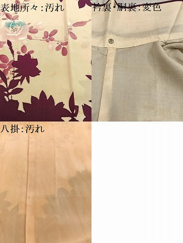 平和屋着物■訪問着 枝花シルエット 金彩 正絹 逸品 AABF1939oa