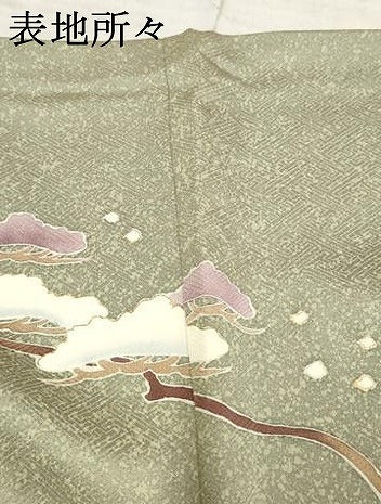 平和屋着物●訪問着　作家物　立波枝松文　金糸　金彩　正絹　逸品　AABF2057cs