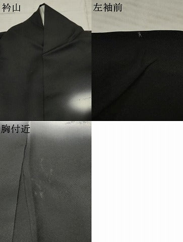 平和屋着物●訪問着　樹林風景文　暈し染め　黒地　金銀糸　正絹　逸品　AABF2075cs