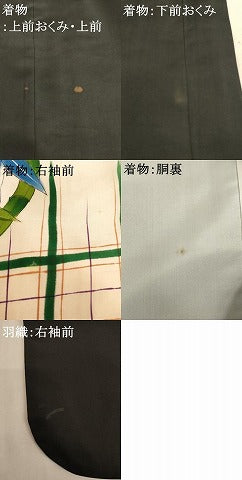 平和屋着物[]七五三　男の子　5歳　祝着・羽織・行灯袴セット　手描き　獅子　草木丸文　金彩　逸品　AABF2167ja