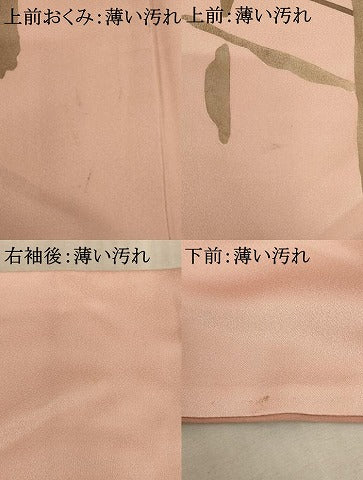 平和屋着物■訪問着 駒刺繍 枝椿文 金彩 正絹 逸品 AABF2284ja