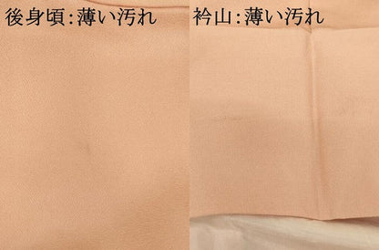 平和屋着物■訪問着 刺繍 花車文 正絹 逸品 AABF2401ja