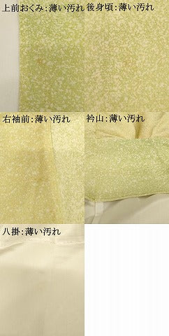 平和屋着物■訪問着 草花文 暈し染め 正絹 逸品 AABF2411ja