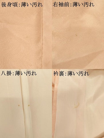 平和屋着物■訪問着 総刺繍 文箱文 蛍暈し 金銀糸 やまと誂製 正絹 逸品 AABF2429ja