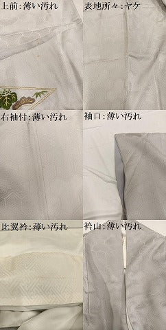 平和屋着物■豪華色留袖 刺繍 松皮菱群鶴草花文 金銀糸 正絹 逸品 AABF2512ph